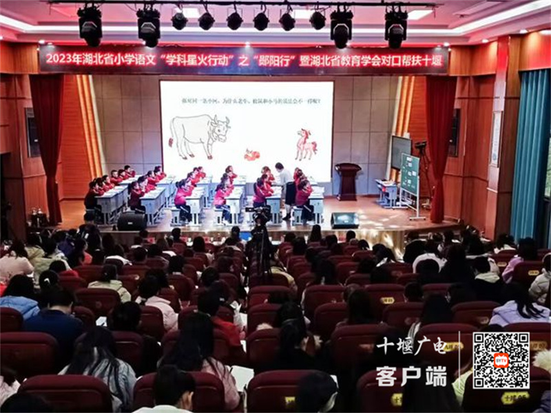 QQ图片20231124085555