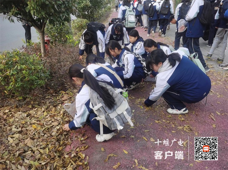 微信图片_20231127121652_副本