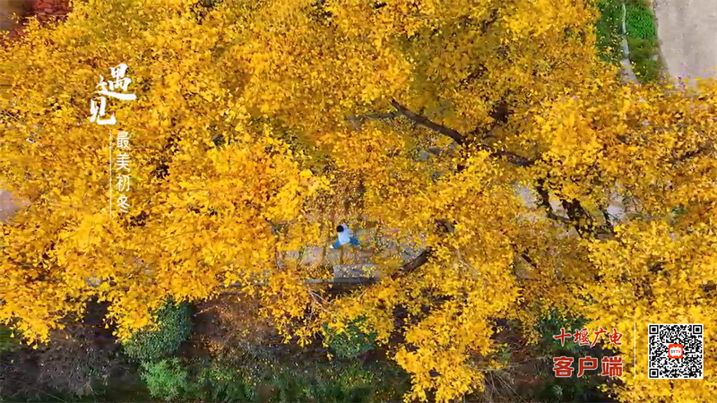 11月27日(4)