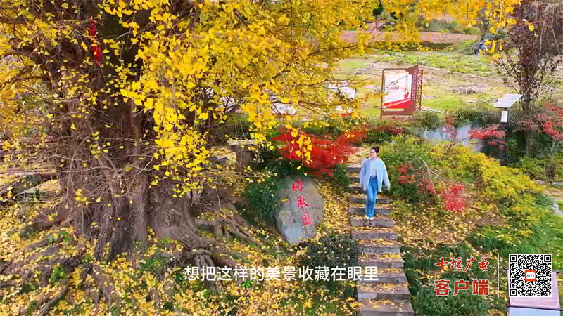 11月27日