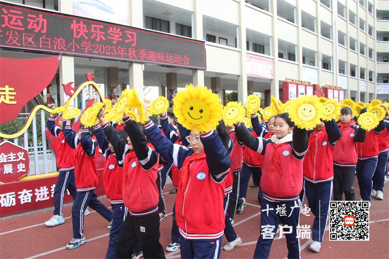 微信图片_20231127174942_副本