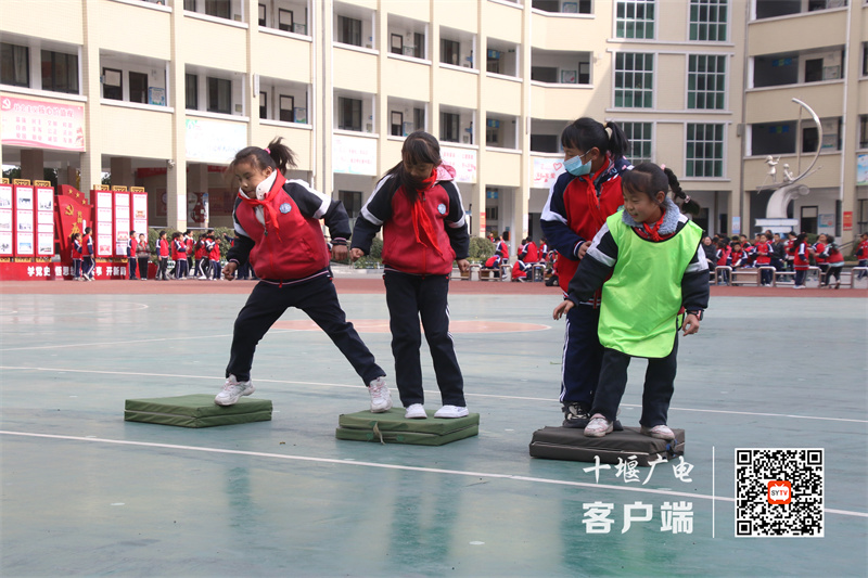 微信图片_20231127174948_副本