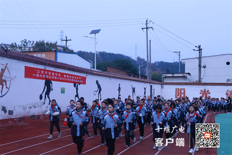 微信图片_20231128161328_副本