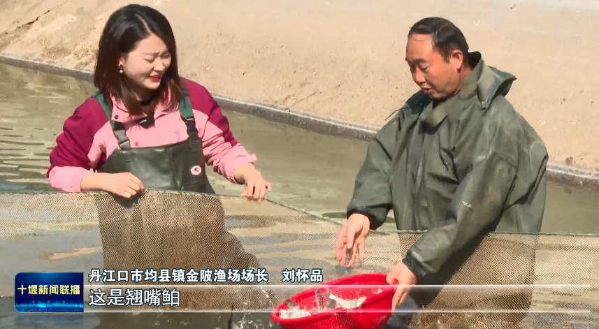 QQ图片20231128194044