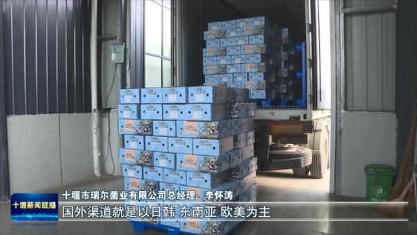 瑞尔菌业：精准分拣提质量  产品畅销国内外.mp4_20231129_195922939