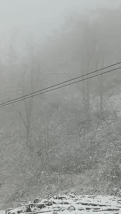640_wx_fmt=gif&from=appmsg&wxfrom=5&wx_lazy=1
