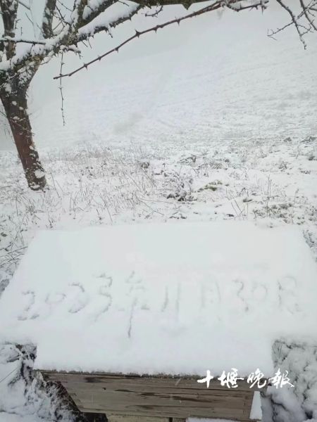 640_wx_fmt=jpeg&from=appmsg&wxfrom=5&wx_lazy=1&wx_co=1