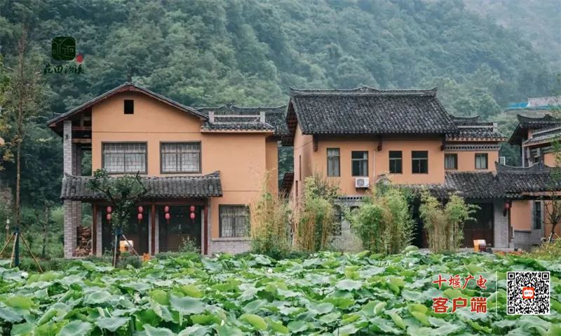 图片 10