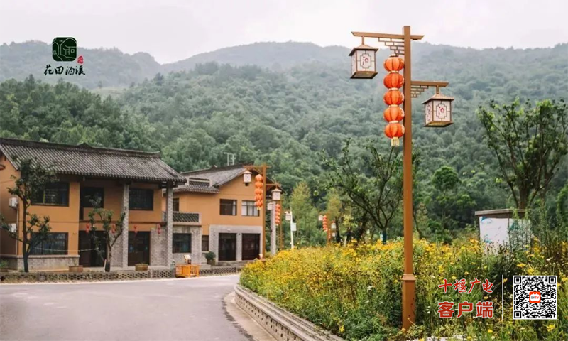 图片 11