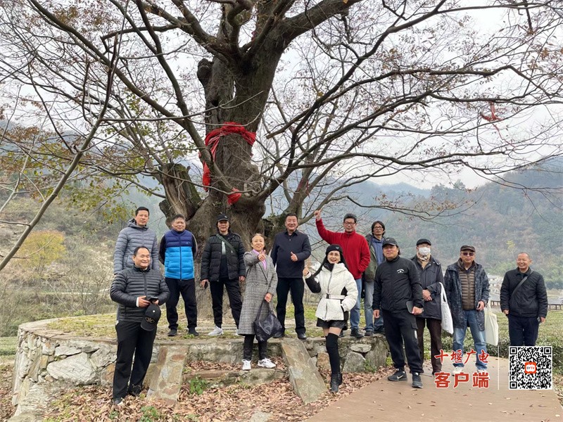 微信图片_20231201094304