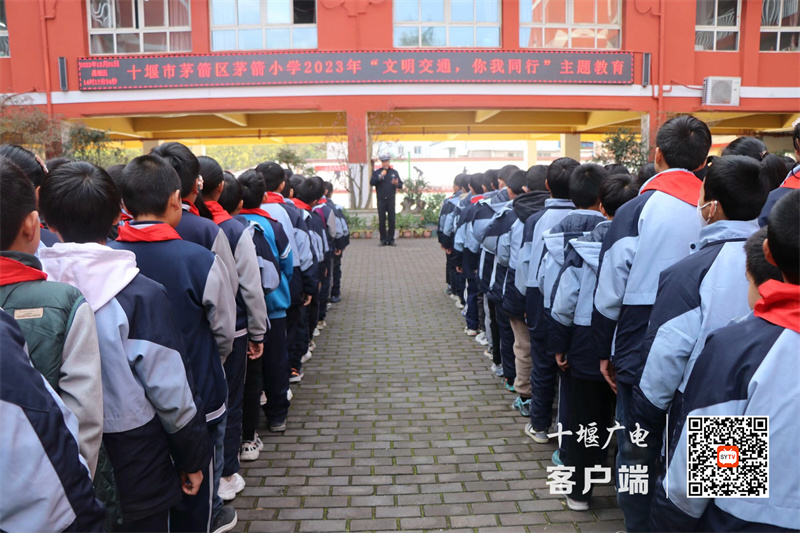 微信图片_20231203151719_副本
