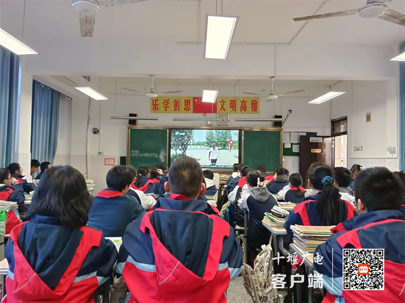 微信图片_20231205175003_副本