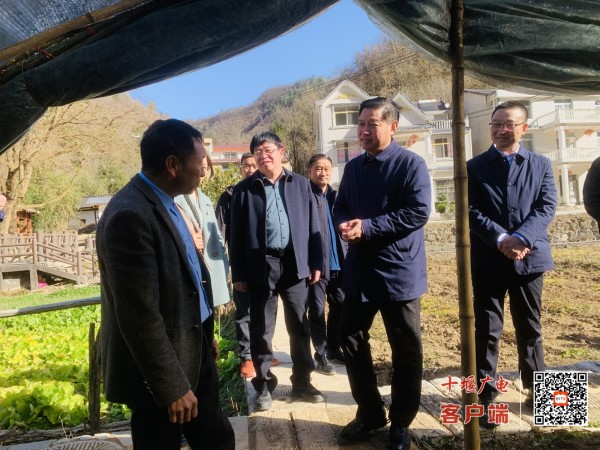 微信图片_20231206182408_副本
