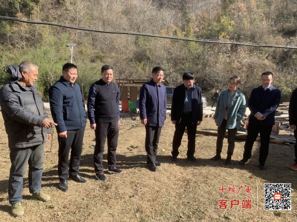 微信图片_20231206183644_副本