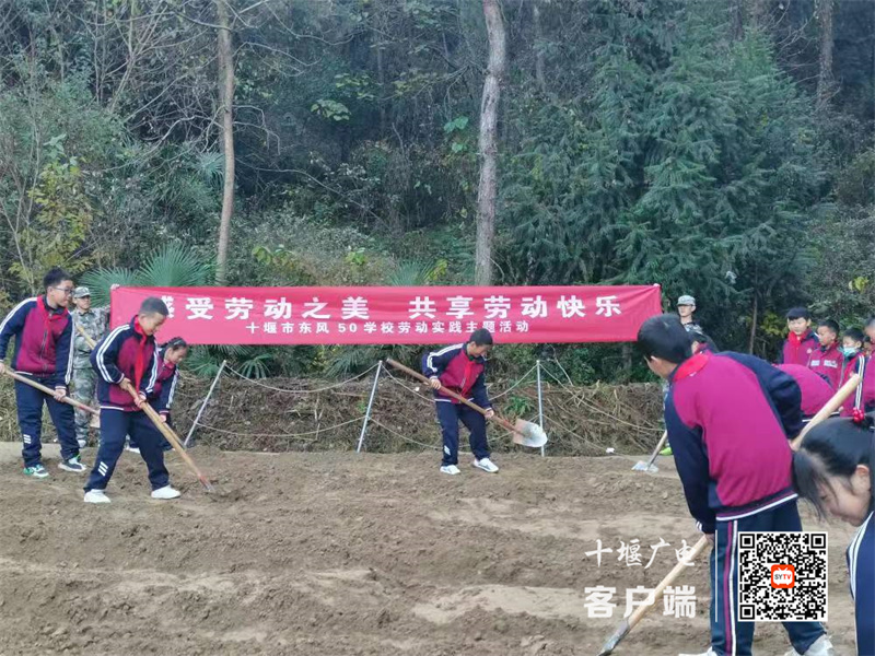 微信图片_20231207144902_副本