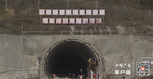 QQ截图20231208154529