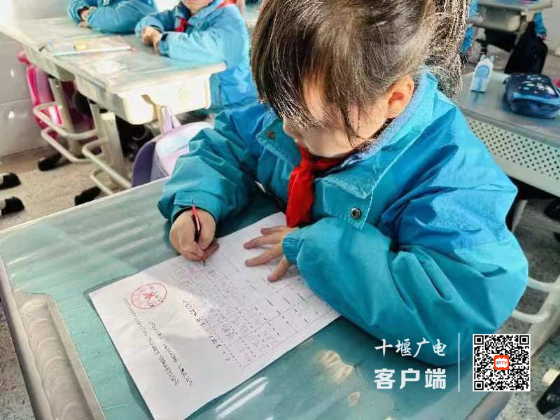 微信图片_20231211155150_副本
