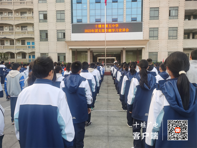 微信图片_20231211173105_副本