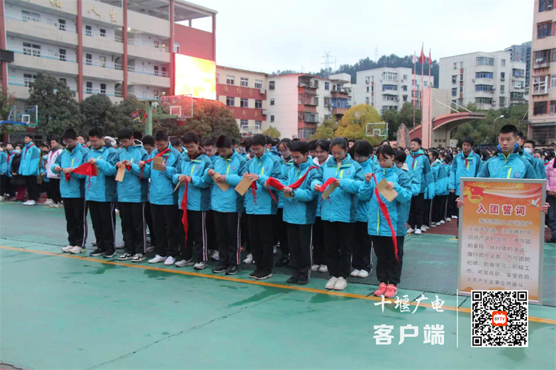 微信图片_20231212134343_副本