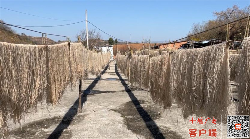 360截图20231212180812784_副本