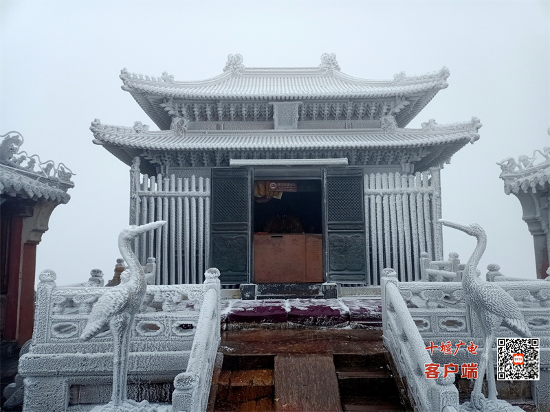 微信图片_20231214104019
