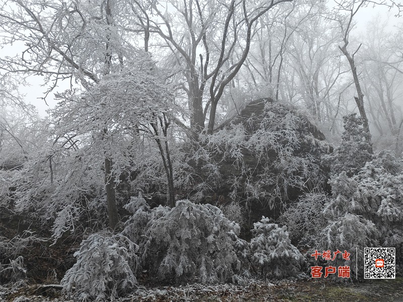 微信图片_20231214103905