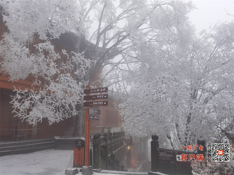 微信图片_20231214103842