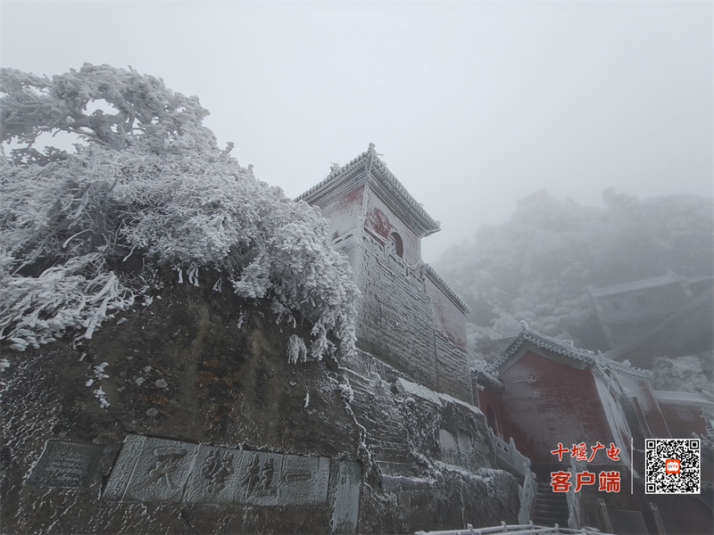 微信图片_20231214104007