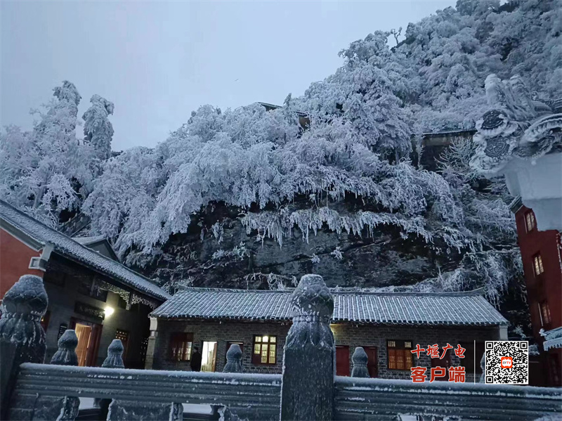 微信图片_20231215105755