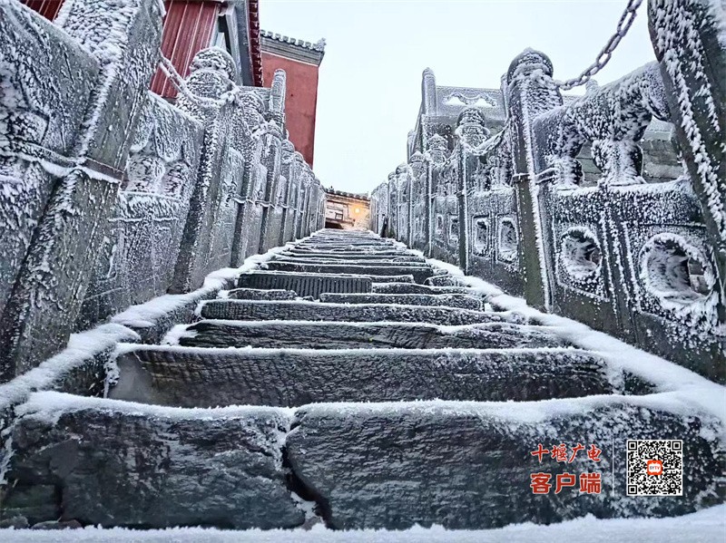 微信图片_20231215105803