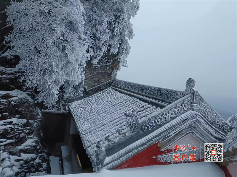 微信图片_20231215105811