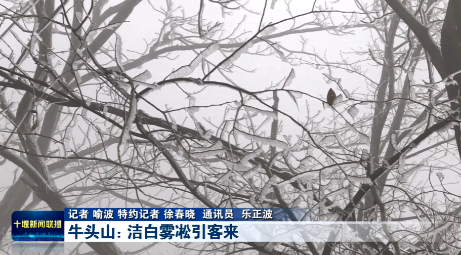 QQ图片20231217194548