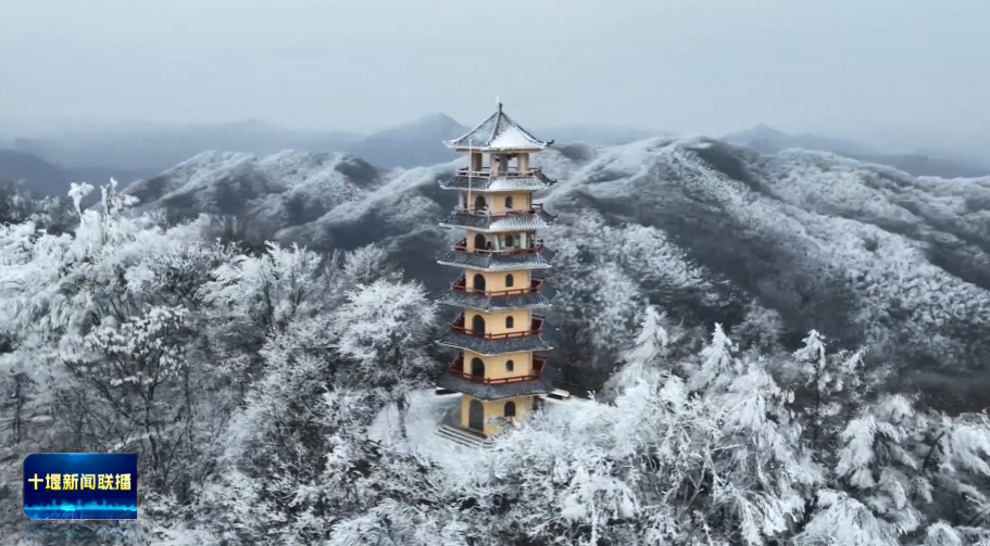 QQ图片20231217194850
