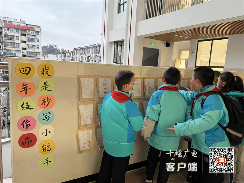 QQ图片20231218085549(1)_副本