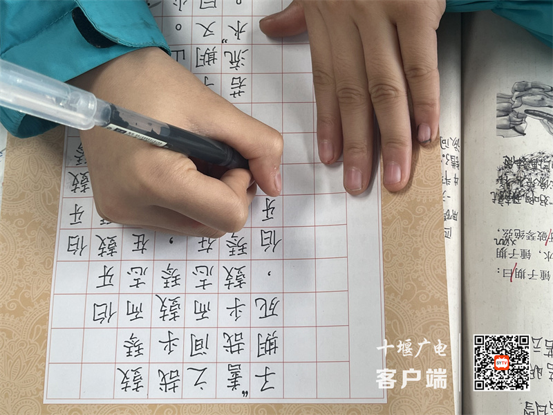 QQ图片20231218085630(1)_副本