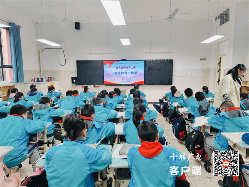 QQ图片20231218085623(1)_副本