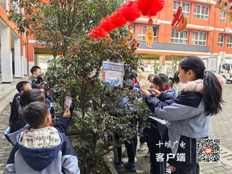 微信图片_20231220165659_副本