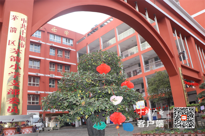 微信图片_20231220165709_副本