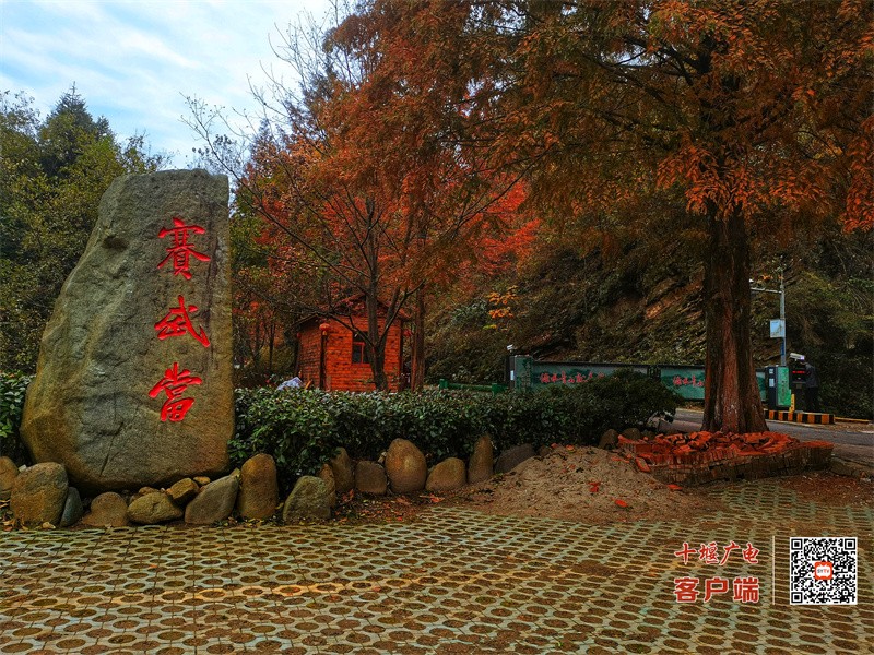微信图片_20231221084916