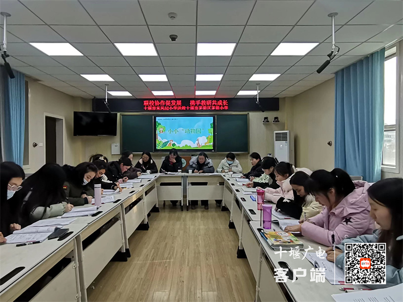 微信图片_20231222190753_副本