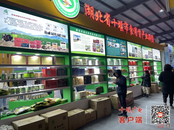 微信图片_20231223093206