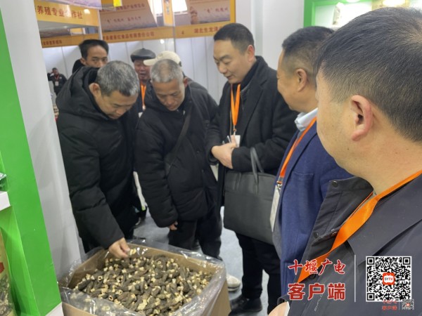 微信图片_20231223095547