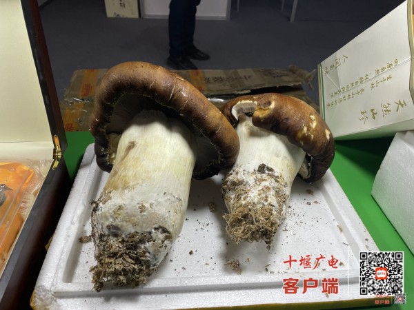 微信图片_20231223102301