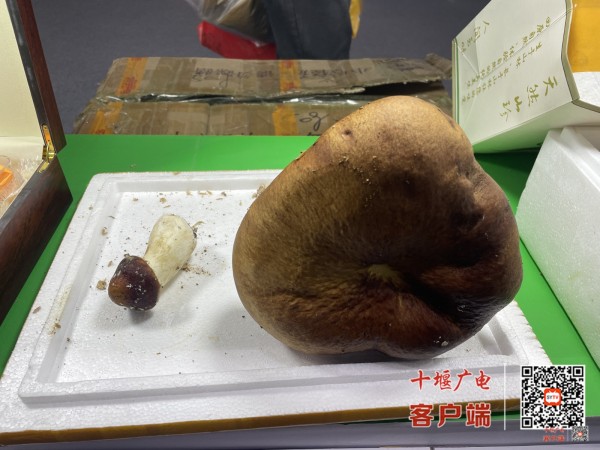微信图片_20231223102313