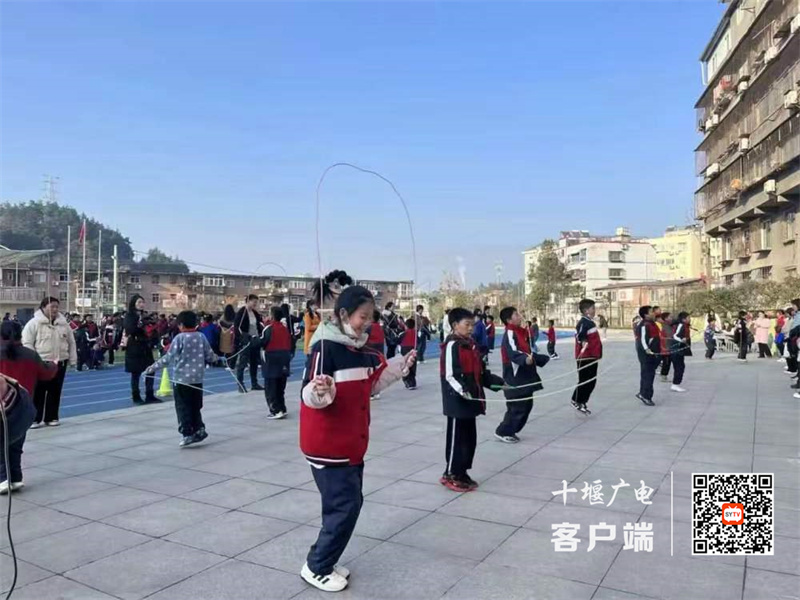 微信图片_20231226124229_副本