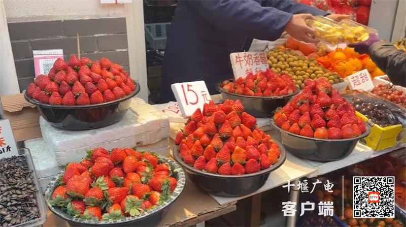 360截图20231226172904271_副本