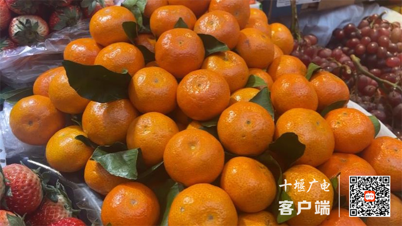 360截图20231226173228862_副本