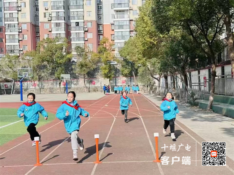 微信图片_20231227084418_副本