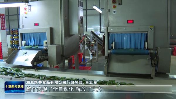改11 湖北统香食品：加大自动化设备投入  生产效率提升5倍.mp4_20231228_183404563