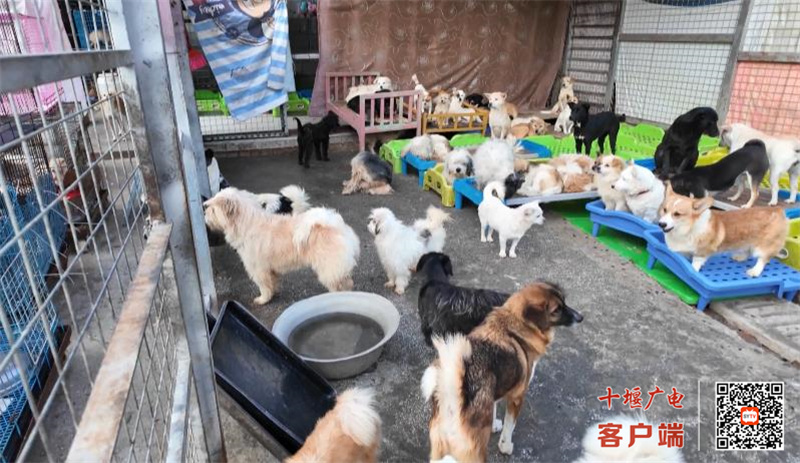360截图20231229190052942